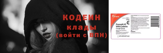 крисы Гусев