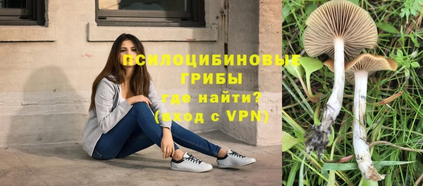 прущие крисы Гусиноозёрск
