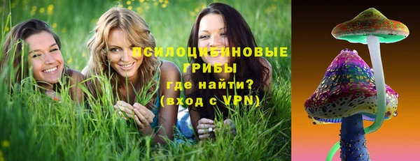 прущие крисы Гусиноозёрск