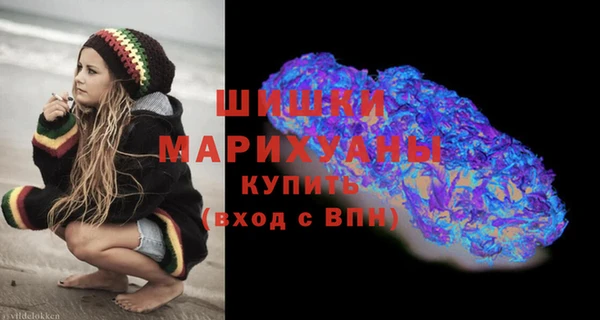 трава Шарыпово