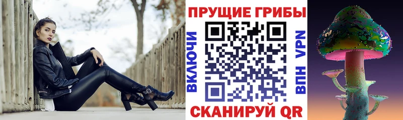 Псилоцибиновые грибы Psilocybine cubensis  Лукоянов 